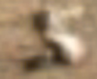 baby-2.jpg