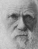 darwin-old.jpg