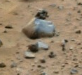 mars-cow.png