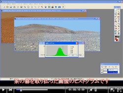 photo.jpg