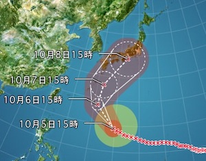 typho-18.jpg